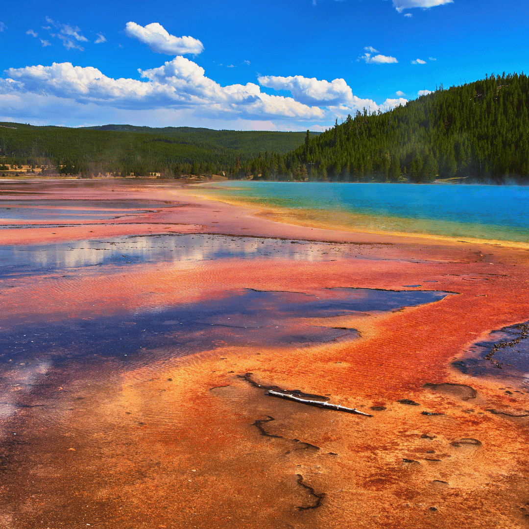 Rotorua — geothermal