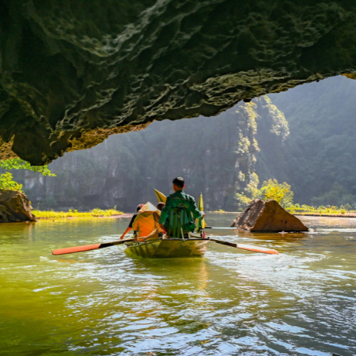 Waitomo Glowworm Caves Tour