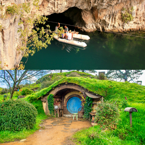 Hobbiton + Waitomo Combo Tour