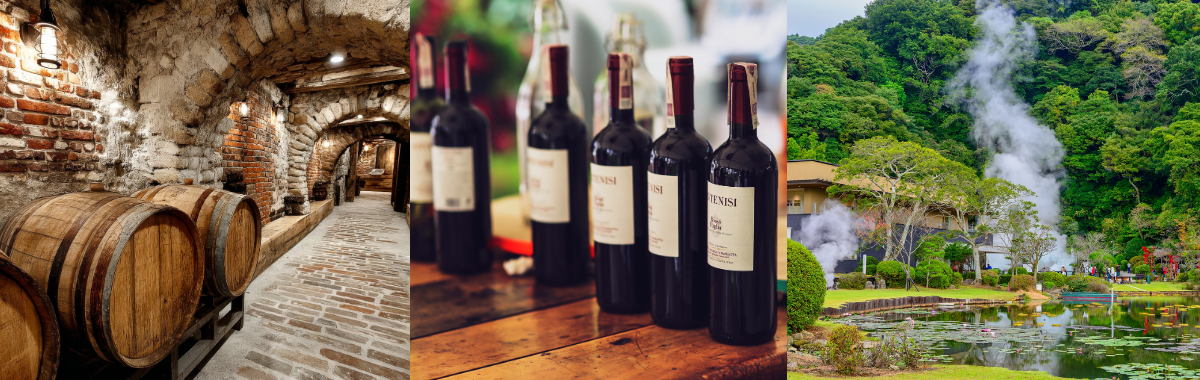 Waiheke Island Wine Tour from Auckland