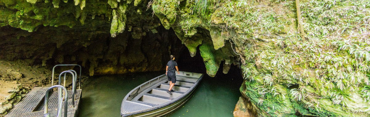 Waitomo Glowworm Caves Tour from Auckland